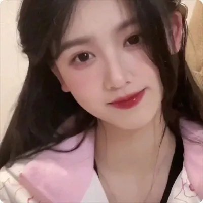 智叻狗仔队